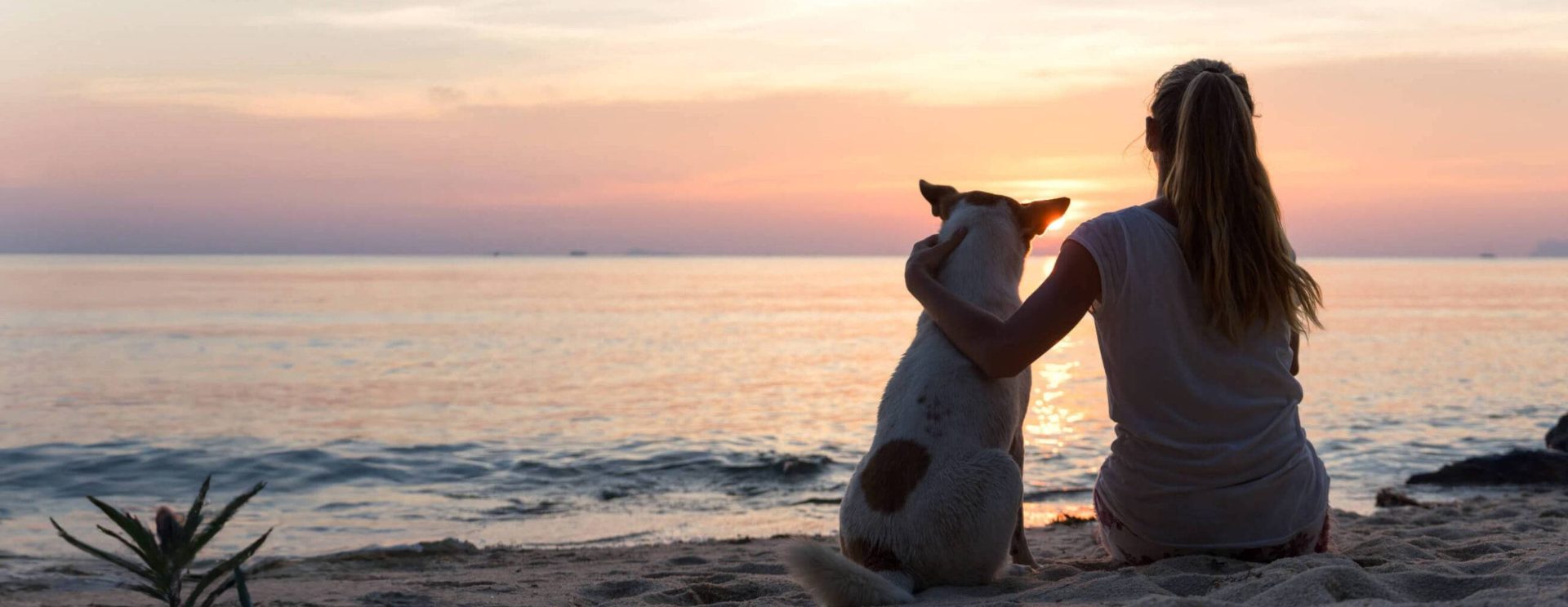 Sunset beach dog and woman